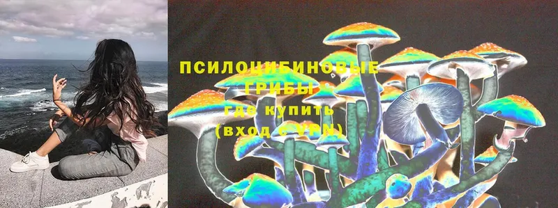 Галлюциногенные грибы Magic Shrooms  Минусинск 